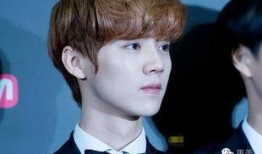 鹿晗最新八卦爆料,神秘女友身份引网友热议